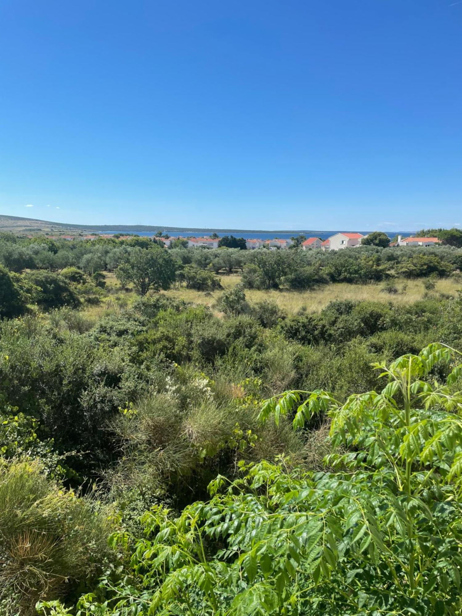 Apartament Pag-travel *