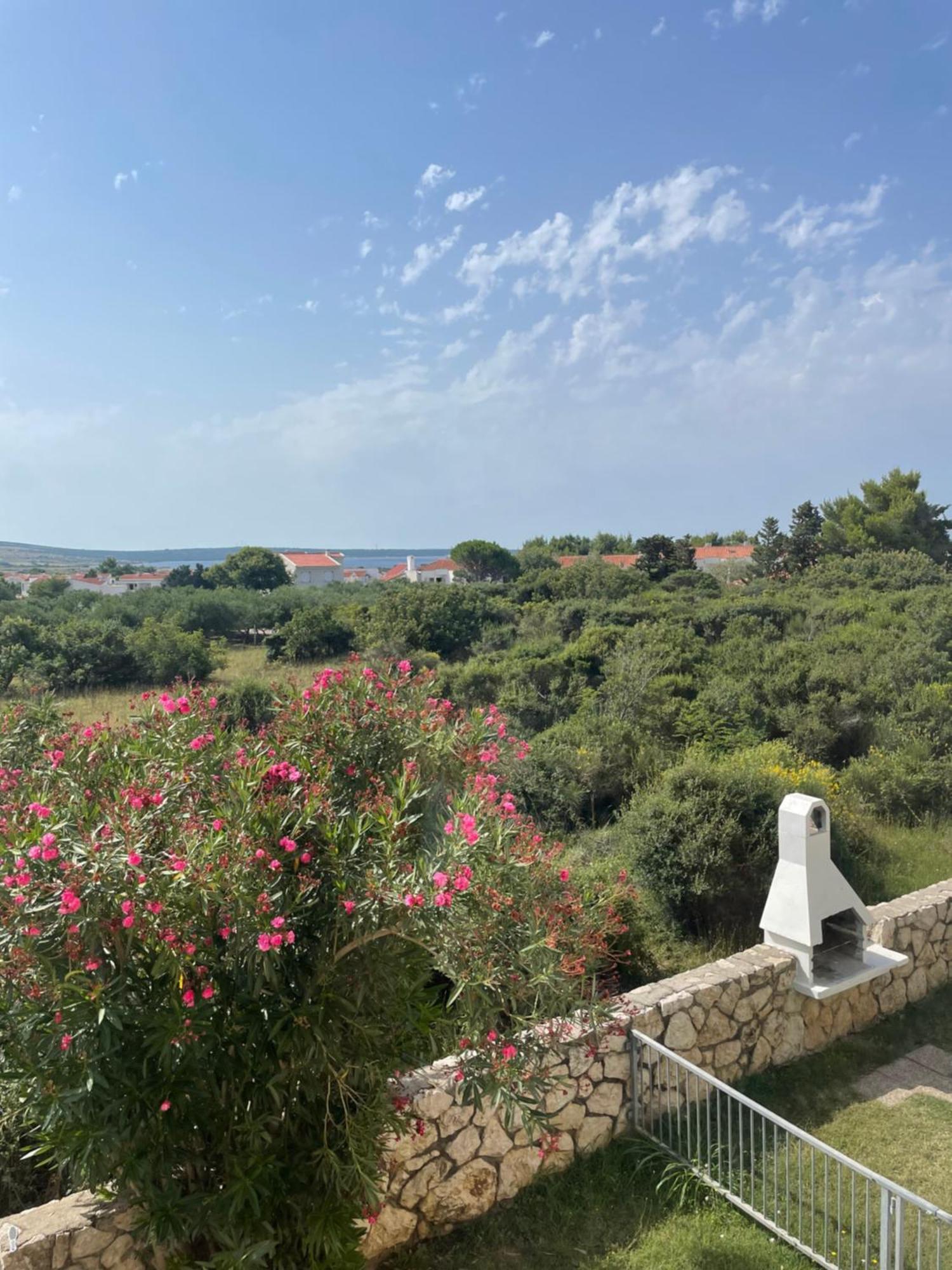 Apartament Pag-travel